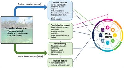 Human well-being and natural infrastructure: assessing opportunities for equitable project planning and implementation